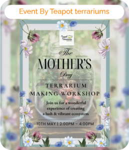 Terrarium Making Workshop Mother's day Special