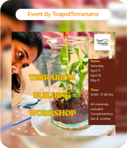 Terrarium Building Workshop