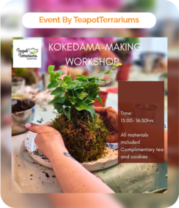 The Art of Kokedama